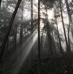 Meet your Posher, Raquel